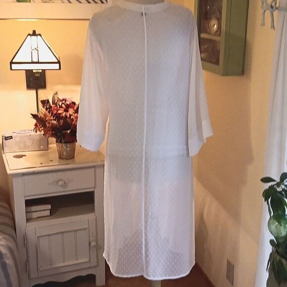 Express Dotted Swiss Duster - Picture 5 of 10